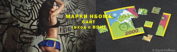 крисы Аркадак