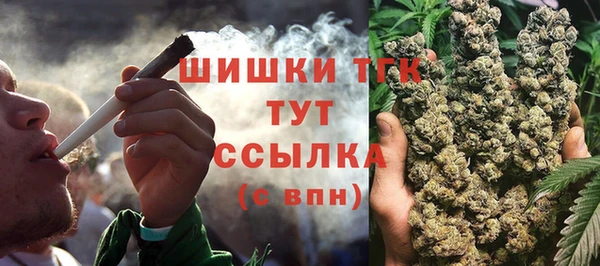 крисы Аркадак